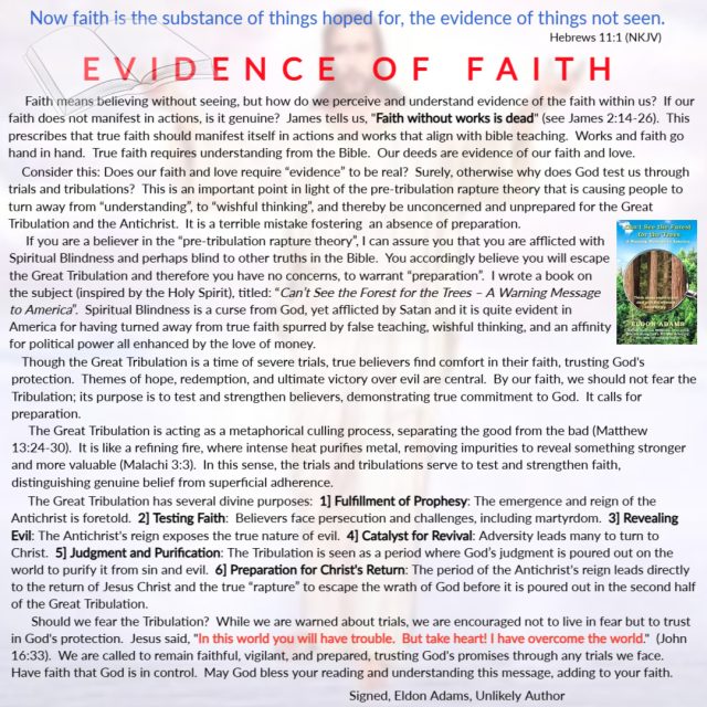 EVIDENCE OF FAITH - Can't See the Forest for the Trees